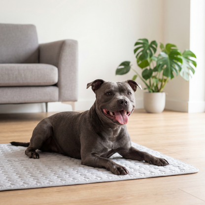 SnoozeCool™ - Self Cooling Pet Mat 2.0